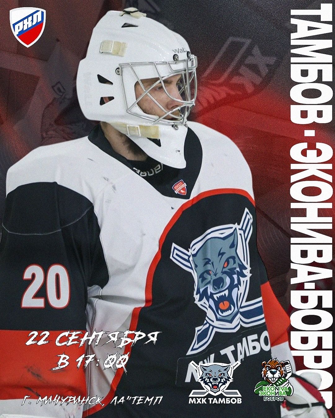 Товарищеский матч в г.Мичуринск с ХК «ЭкоНива-Бобров» Бобров 🏒 